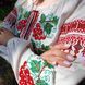 Жіноча лляна вишиванка "Калина" 13236-131-004 фото