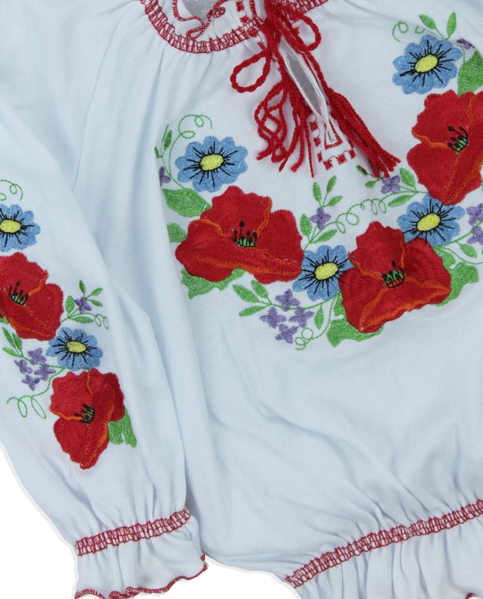 Блуза в національному стилі "Вишиванка-5" фото