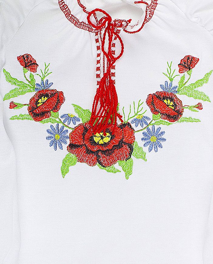 Блуза з вишивкою "Вишиванка-7" фото