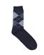Чоловічі шкарпетки демісезон 2729-4145-006 фото